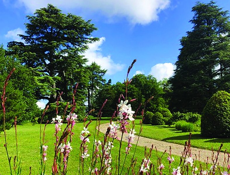 ARPJPC Association Régionale des parcs et jardins de Poitou Charentes