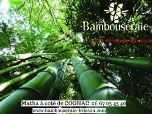 La bambouseraie Brisson
